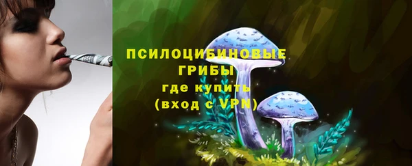 тгк Алзамай