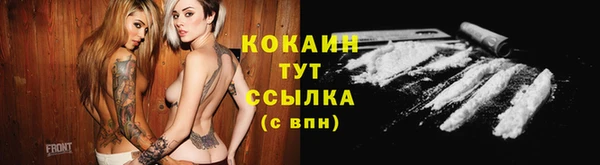 спайс Алексин