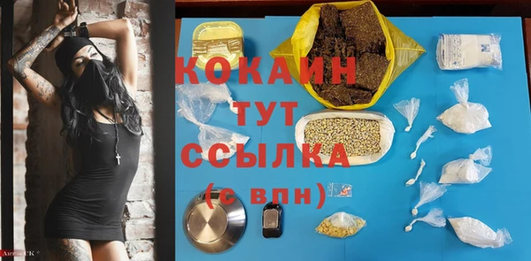 тгк Алзамай