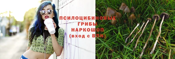 спайс Алексин