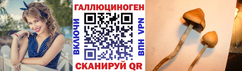Галлюциногенные грибы ЛСД  Пласт 
