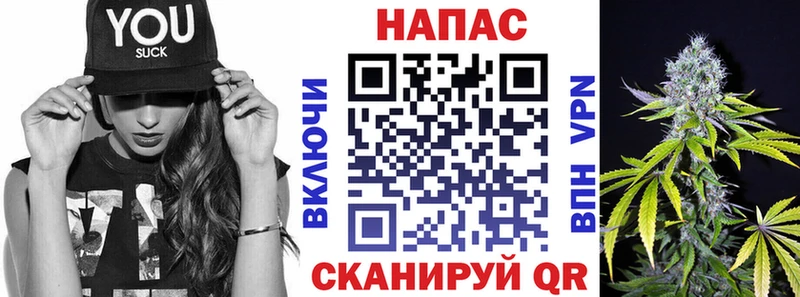 МАРИХУАНА планчик  Пласт 